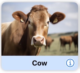 Cow